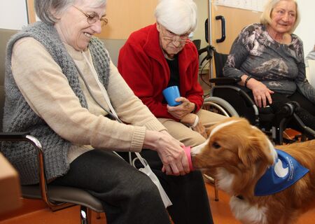 Therapiehund Zasou mit Patienten